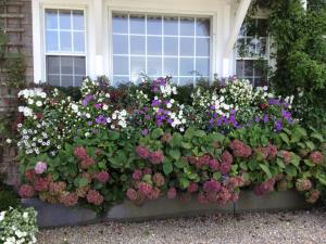 10178122_10204833065372905_3901480155550020266_n