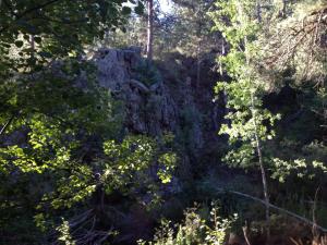 10527392_10204580605141557_2090082102191318034_n