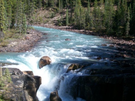 47381_1594560910390_996025_n