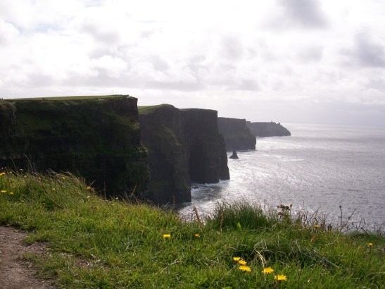 JODIRICH11-16-09 030