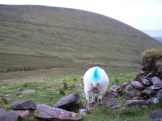 JODIRICH11-16-09 058