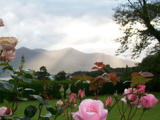 JODIRICH11-16-09 066