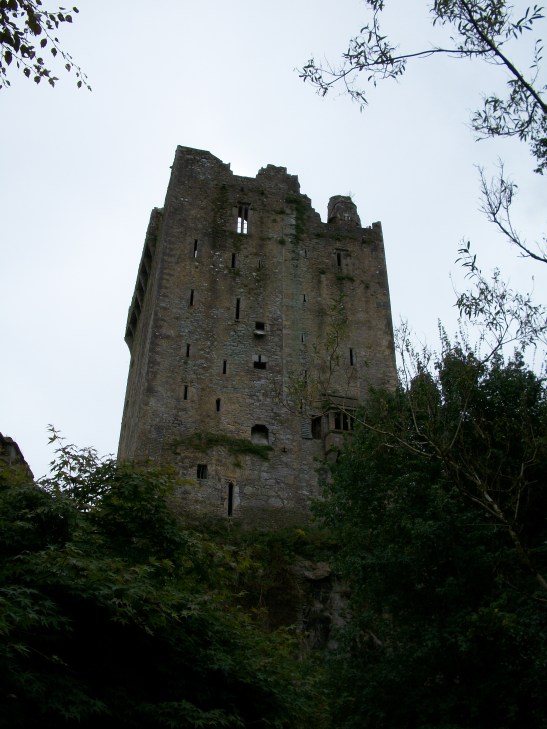 JODIRICH11-16-09 100